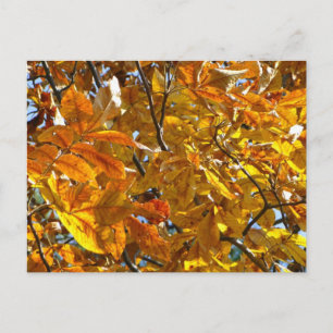 Carte Postale Feuilles d'automne Cadeaux dorés Vêtements Article