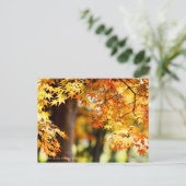 Carte Postale Feuilles d'automne [Carte postale] (Debout devant)