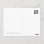 Carte Postale Feuilles d'automne [Carte postale] (Dos)