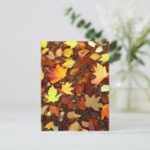 Carte Postale Feuilles d'automne colorées (Debout devant)
