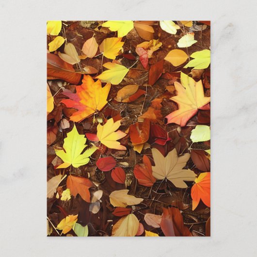 Carte Postale Feuilles d'automne colorées (Devant)