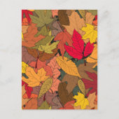 Carte Postale Feuilles d'automne colorées (Devant)