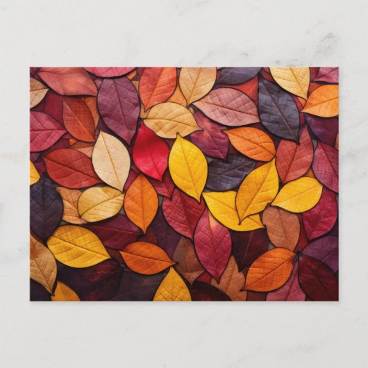 Carte Postale Feuilles d'automne colorées (Devant)