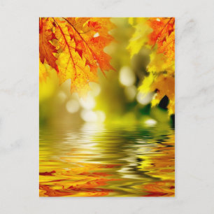 Carte Postale Feuilles d'automne colorées reflétant dans l'eau 2