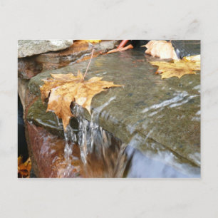 Carte Postale Feuilles d'automne dans la cascade II Photographie