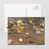 Carte Postale Feuilles d'automne dans l'étang de l'eau Photograp (Devant / Derrière)