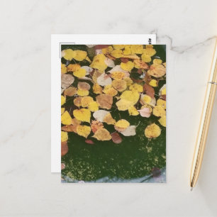 Carte Postale Feuilles d'automne dans une fontaine de Pella Iowa