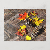 Carte Postale Feuilles d'automne et Pinecones (Devant)
