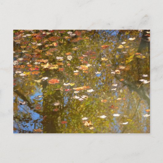 Carte Postale Feuilles d'automne et réflexion sur le cours d'eau (Devant)