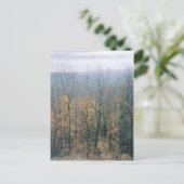 Carte Postale Feuilles d'automne - Géorgie (Debout devant)