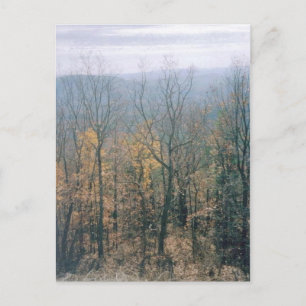 Carte Postale Feuilles d'automne - Géorgie