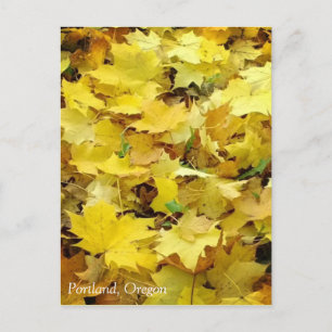Carte Postale Feuilles d'automne jaunes