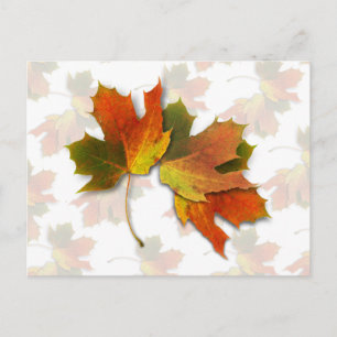 Carte Postale Feuilles D'Automne Orange Et Doré