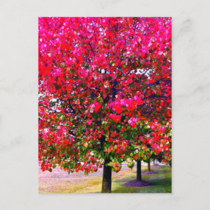 Carte Postale Feuilles d'automne rose impressionniste