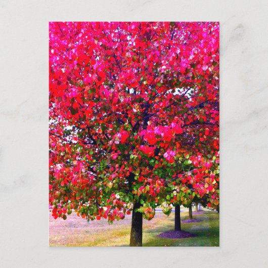 Carte Postale Feuilles d'automne rose impressionniste (Devant)