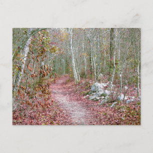 Carte Postale Feuilles d'automne roses sentier Goat Rock Arkansa