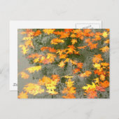 Carte Postale Feuilles d'automne sous la pluie (Devant / Derrière)