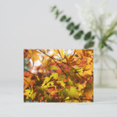 Carte Postale Feuilles d'automne : Tokyo (Debout devant)