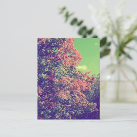 Carte Postale Feuilles d'automne vintages (Debout devant)