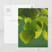 Carte Postale Feuilles de bien-être (Devant / Derrière)