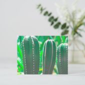 Carte Postale Feuilles de cactus vert pastel (Debout devant)