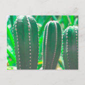 Carte Postale Feuilles de cactus vert pastel (Devant)