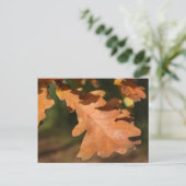 Carte postale Feuilles de chêne d'automne (Debout devant)