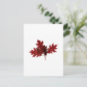 Carte Postale Feuilles de chêne rouge (Debout devant)