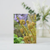 Carte Postale Feuilles de fougères vertes (Debout devant)