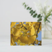 Carte Postale Feuilles de Ginkgo à Kyoto (Debout devant)