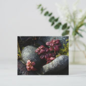 Carte Postale Feuilles de lingonberry - Couleurs d'automne, île (Debout devant)