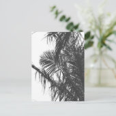 Carte Postale Feuilles de palmier noir blanc monochrome (Debout devant)