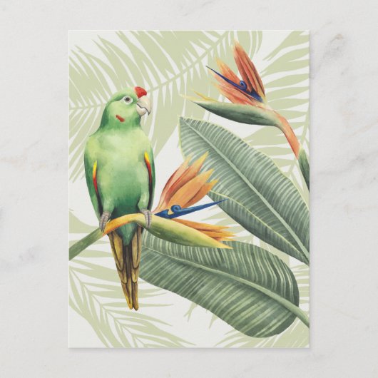 Carte Postale Feuilles De Palmiers Avec Oiseau Vert (Devant)