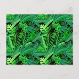 Carte Postale Feuilles De Palmiers Tropicaux