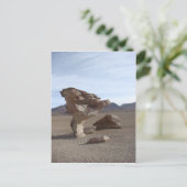 Carte Postale Feuilles De Pierre (Debout devant)
