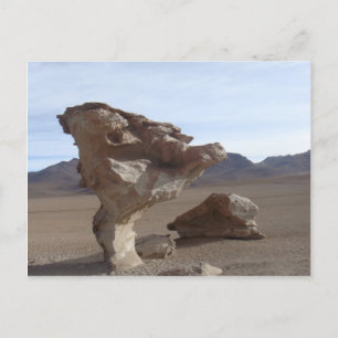 Carte Postale Feuilles De Pierre