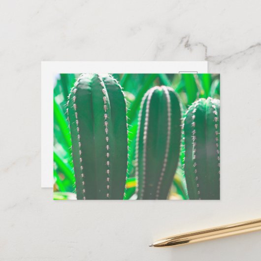 Carte Postale Feuilles de plante de cactus vert pastel (Devant/Arrière en situation)