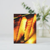 Carte Postale Feuilles de sumac (Debout devant)