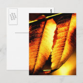 Carte Postale Feuilles de sumac (Devant / Derrière)