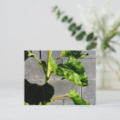 Carte Postale Feuilles de tournesol (Debout devant)