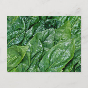 Carte Postale Feuilles d'épinards