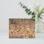 Carte Postale Feuilles d'érable à l'automne (Debout devant)