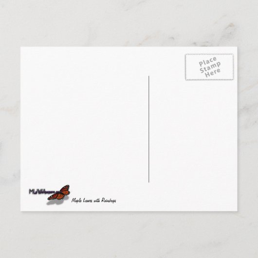 Carte Postale Feuilles d'érable avec Raindrops (Dos)