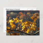 Carte Postale Feuilles d'érable dans le Vermont (Devant / Derrière)