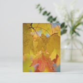 Carte Postale feuilles d'érable rouge et jaune, dans le sud (Debout devant)