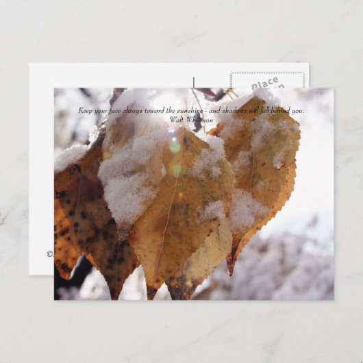 Carte Postale Feuilles en automne avant l'automne (Devant / Derrière)