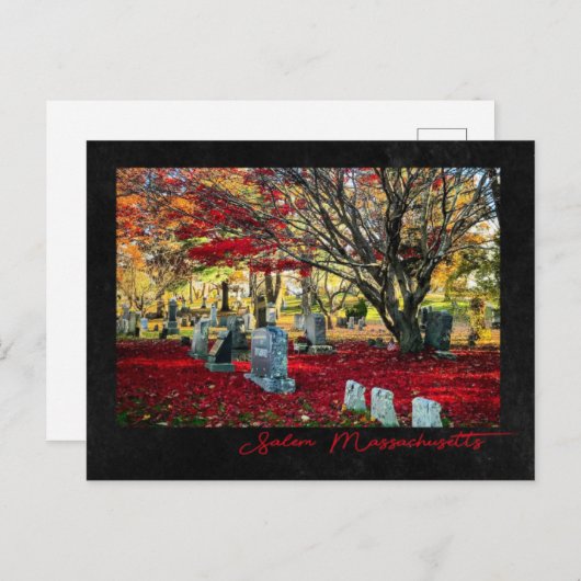 Carte Postale Feuilles en chute à Salem, Massachusetts (Devant / Derrière)