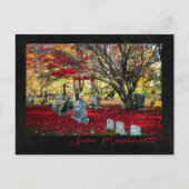 Carte Postale Feuilles en chute à Salem, Massachusetts (Devant)