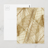 Carte Postale Feuilles en dentelle beige crème pâle (Devant / Derrière)