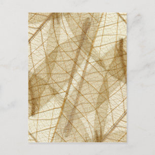 Carte Postale Feuilles en dentelle beige crème pâle